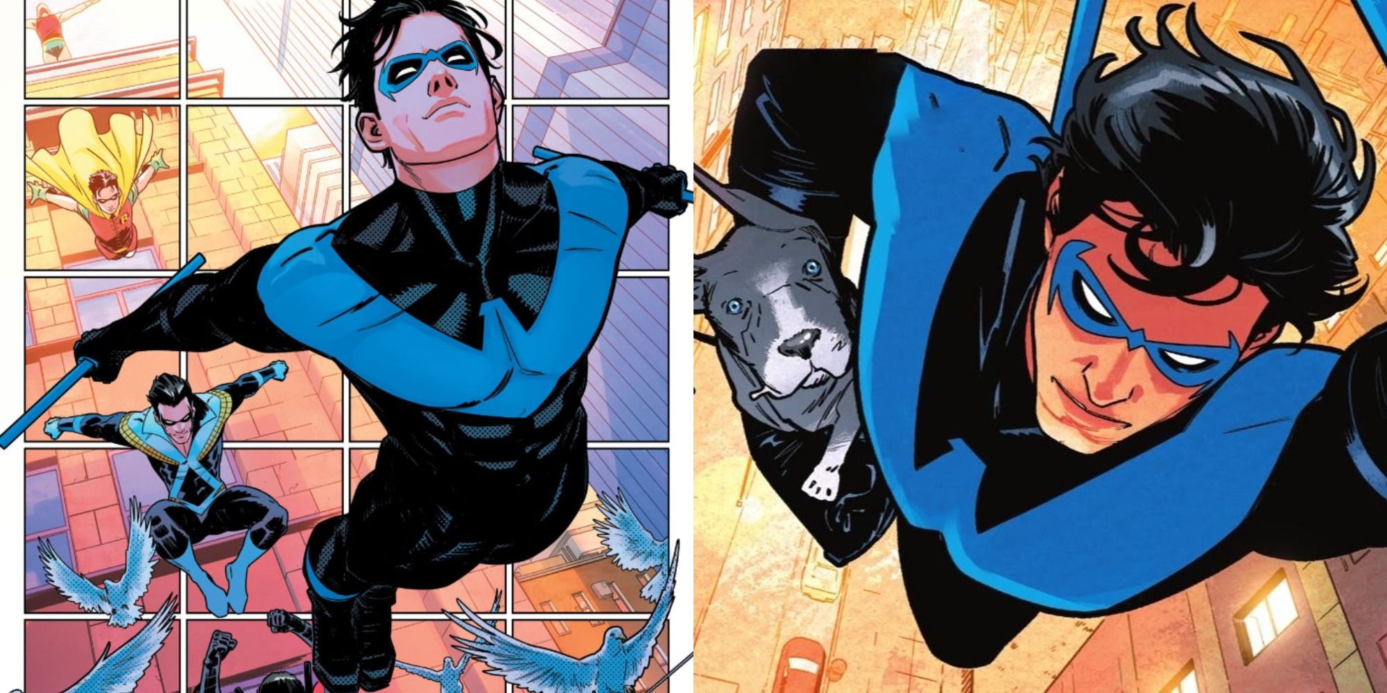 Split image showing Nightwing jumping off a building and flying with Haly the dog in the comics