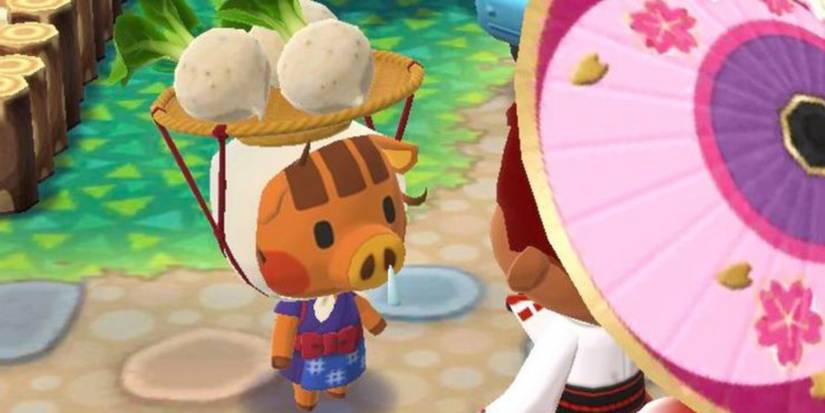 Is It Possible to Time Travel in Pocket Camp: Ultimate Guide Revealed