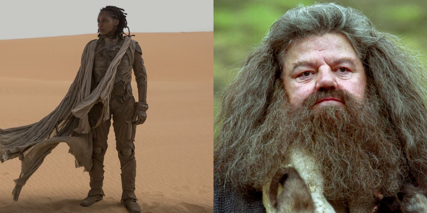 Split image shwoing Kynes in Dune and Hagrid in Harry Potter