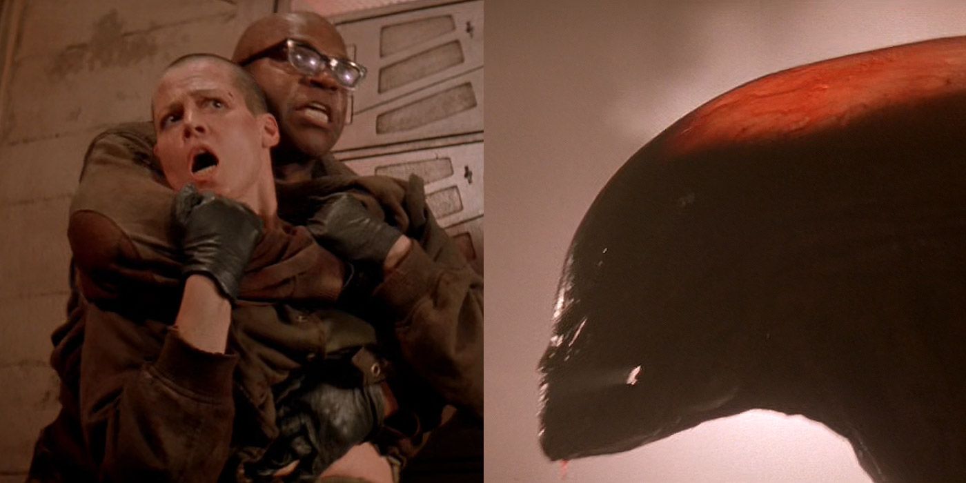 Ellen Ripley's 10 Smartest Decisions In The Alien Movies