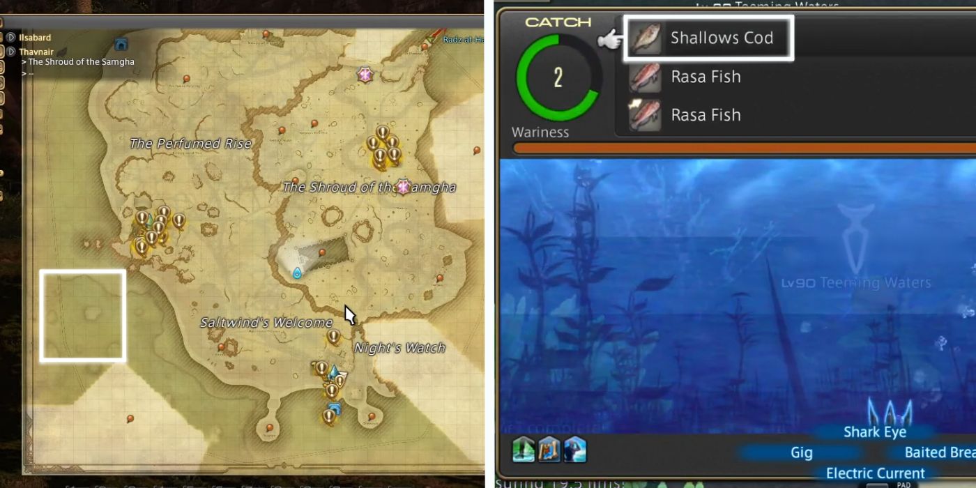 Final Fantasy XIV: How to Find (& Catch) Shallows Cod