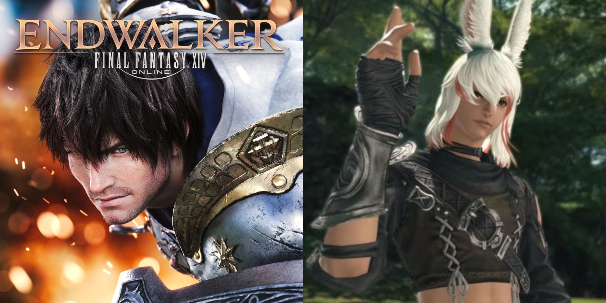 Split image showing the cover for Final Fantasy XIV Endwalker and Male Viera