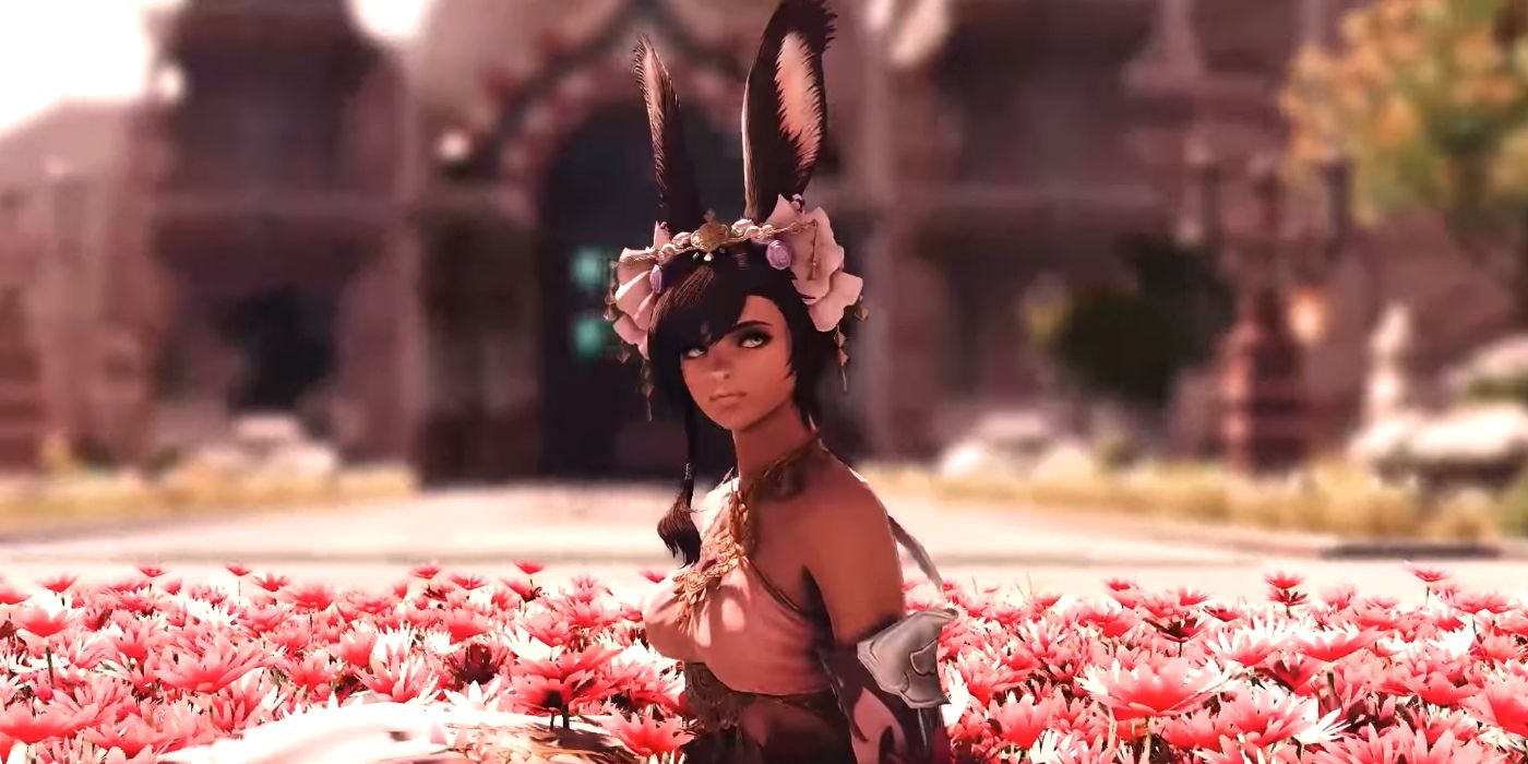 Thanks to patch 62  Viera has more variety of hairstyles  rffxiv