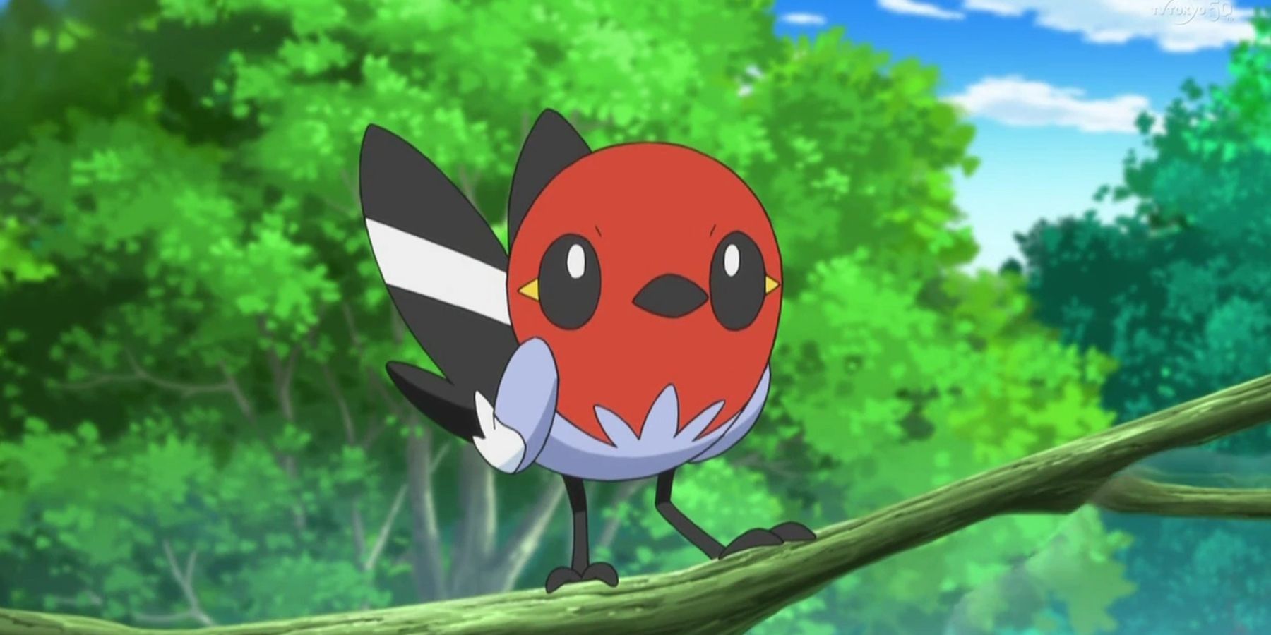 Fletchling standing on a branch in the Pokemon anime