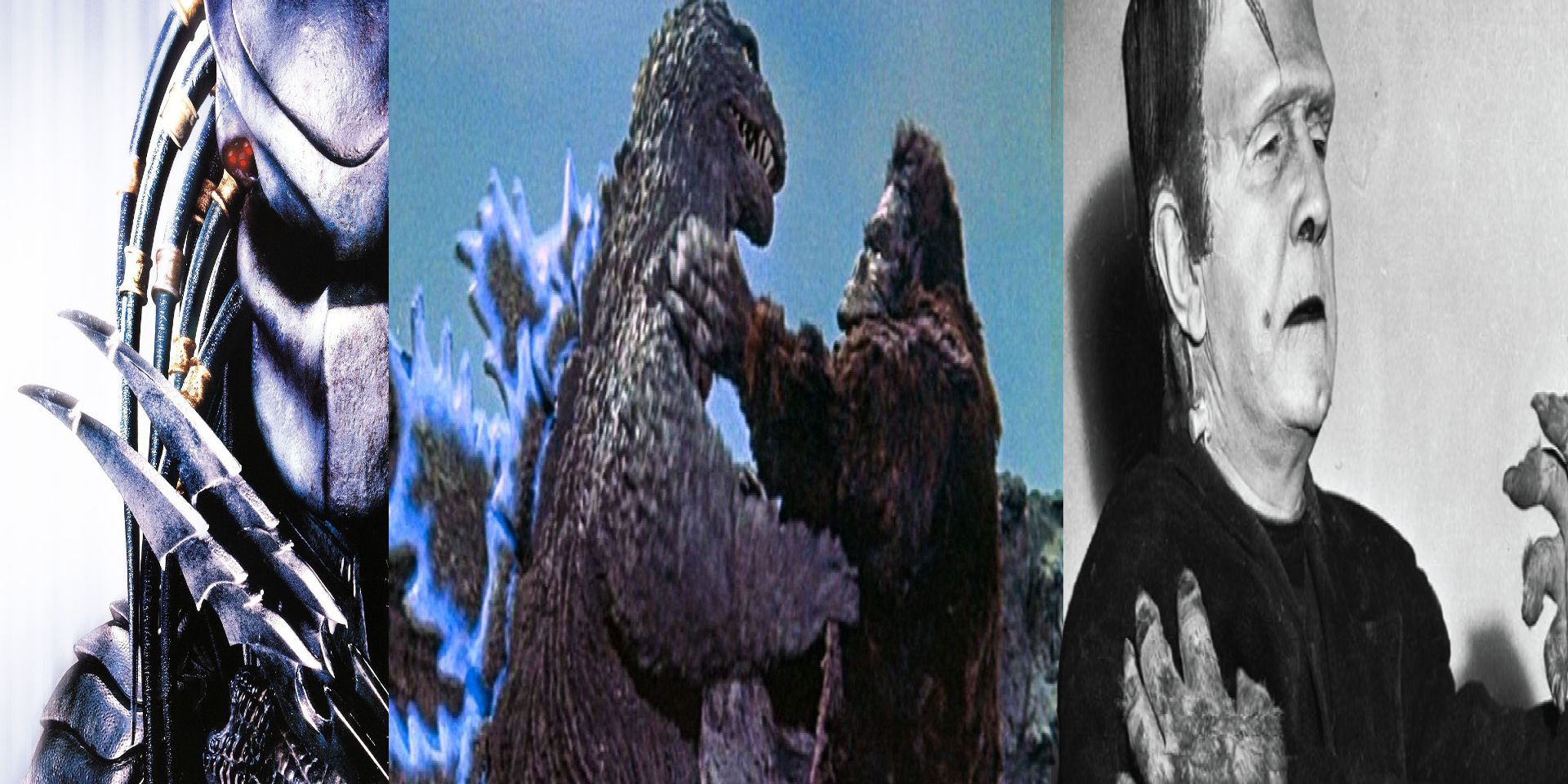 Alien vs Predaotr Godzilla vs King Kong Frankenstein Meets Wolf Man