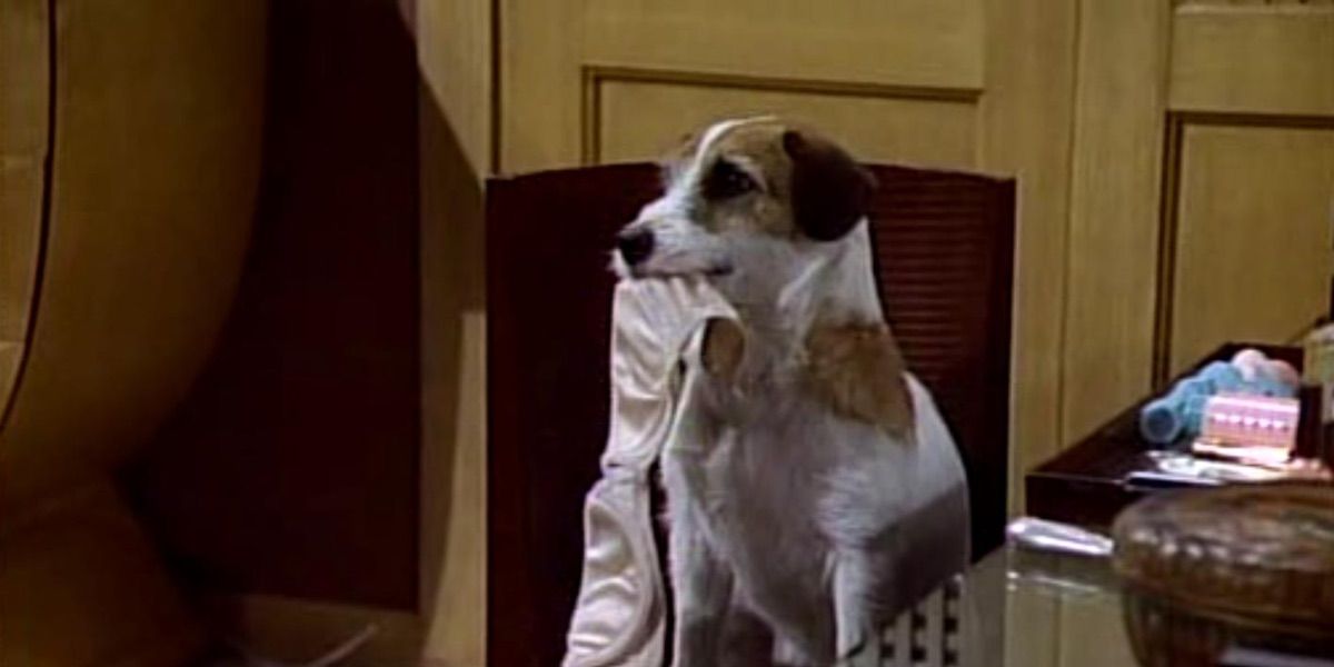 Frasier: 8 Best Eddie The Dog Episodes
