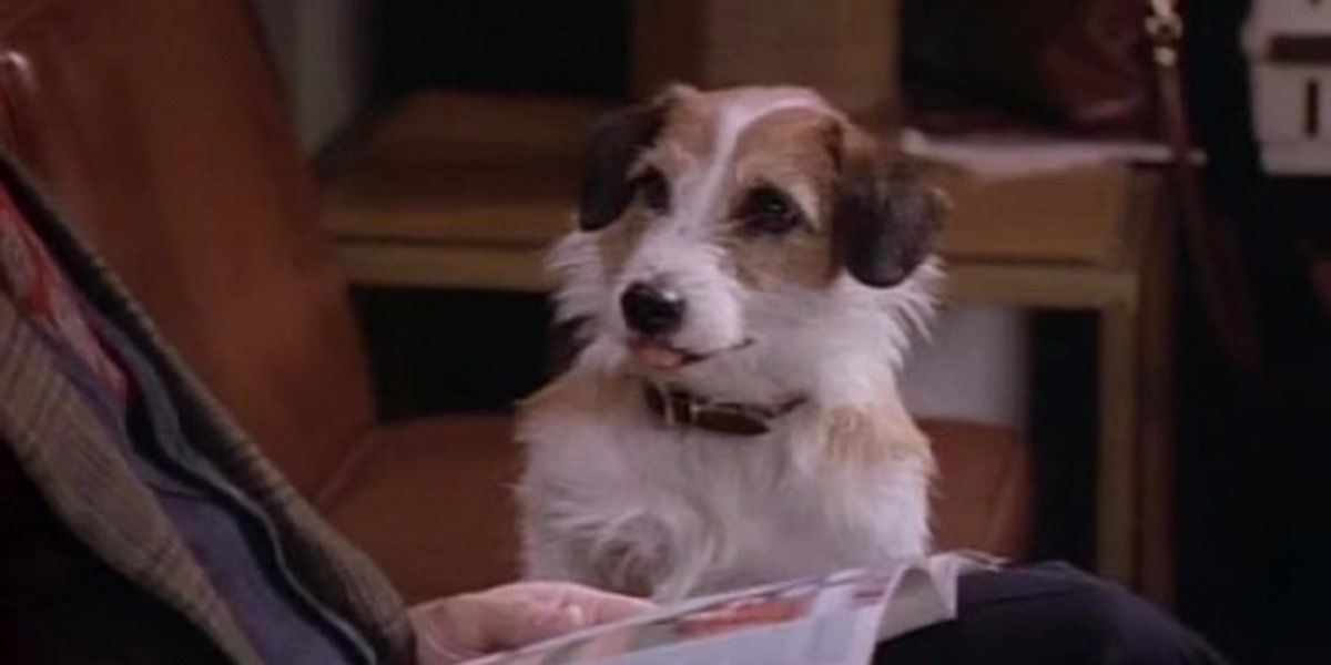 Frasier 8 Best Eddie The Dog Episodes