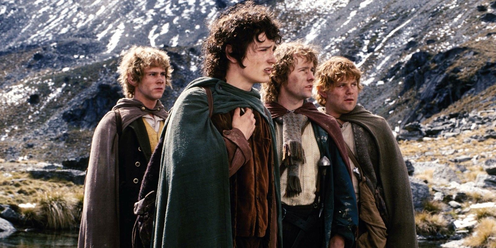Frodo Sam Merry and Pippin in Lord of the Rings