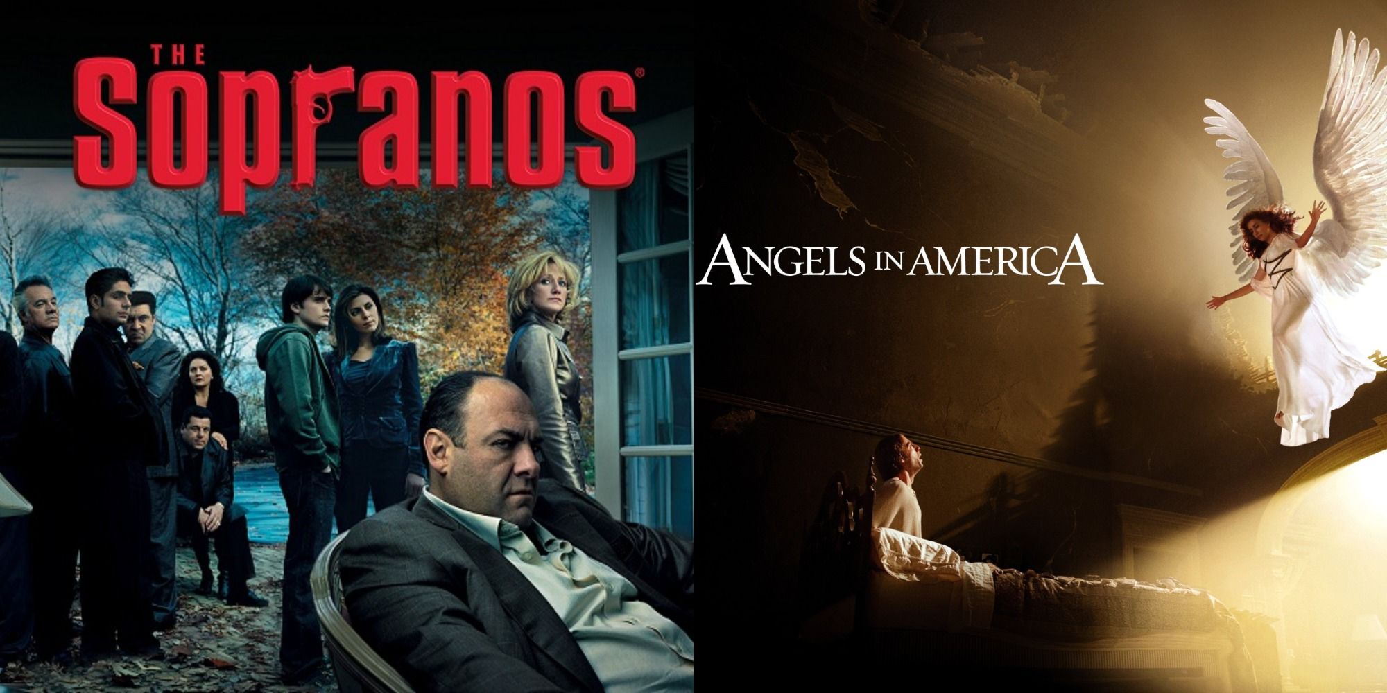 Split image shwoing posters for The Sopranos and Angels in America