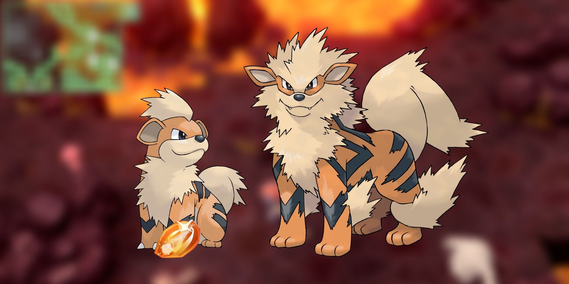 arcanine pokemon