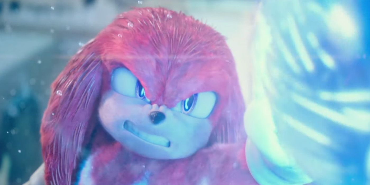 Knuckles fighting in Sonic the Hedgehog 2