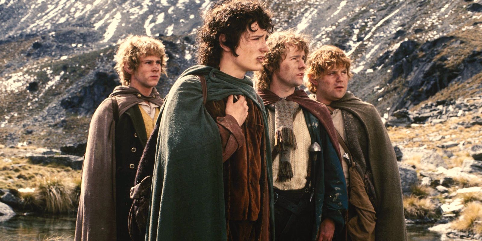 The four hobbits in The Lord of the Rings trilogy