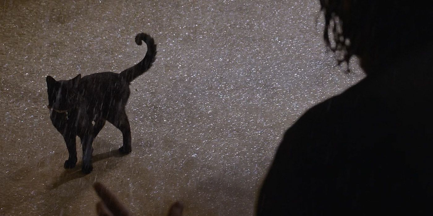 Neo sees a black cat in The Matrix Resurrections