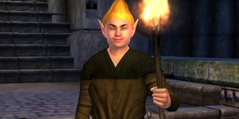 The Elder Scrolls IV: Oblivion's Adoring Fan holds a torch and smiles.