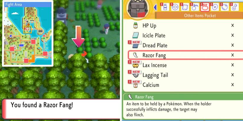 Pokémon BDSP: Where to Find Razor Fang (& What It’s For)