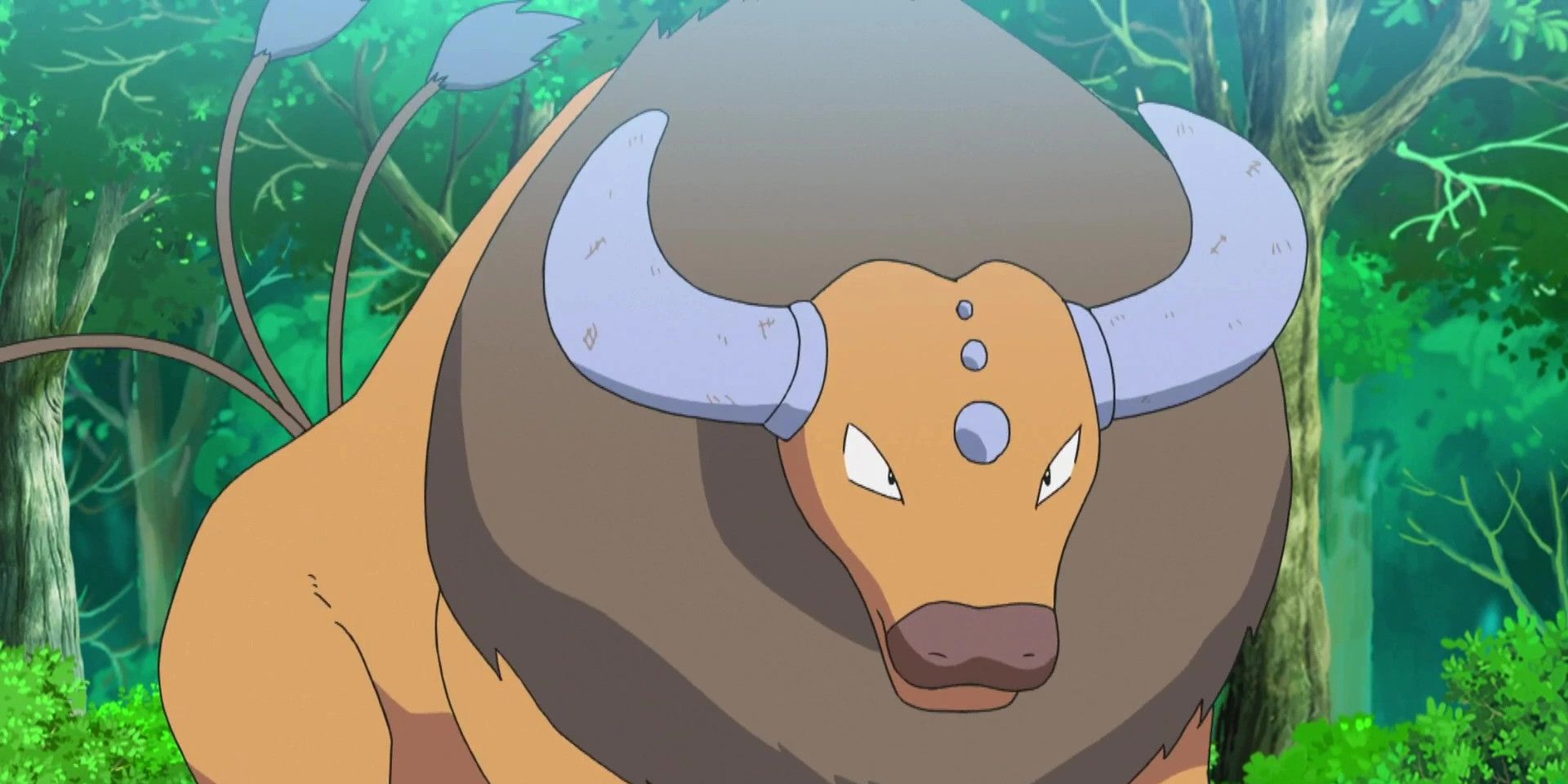 Pokemon Anime Tauros Photo