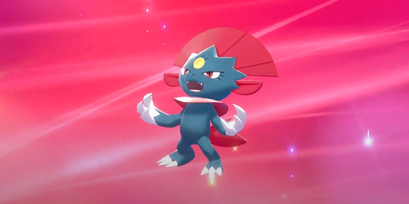 A Weavile in Pokémon Legends: Arceus after evolving from Sneasel, standing and roaring in front of a pink background.