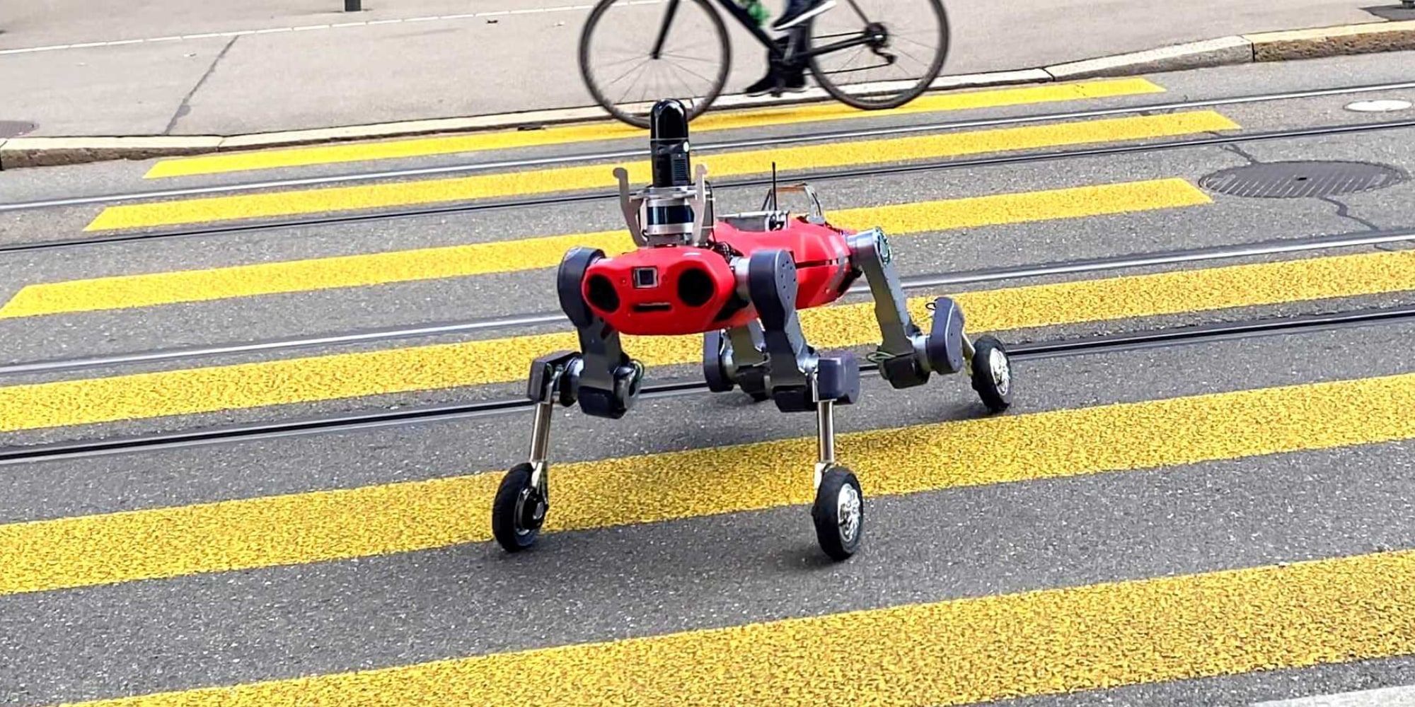 RSL ANYmal Four-Legged Robot On Wheels In Crosswalk Crossing Street