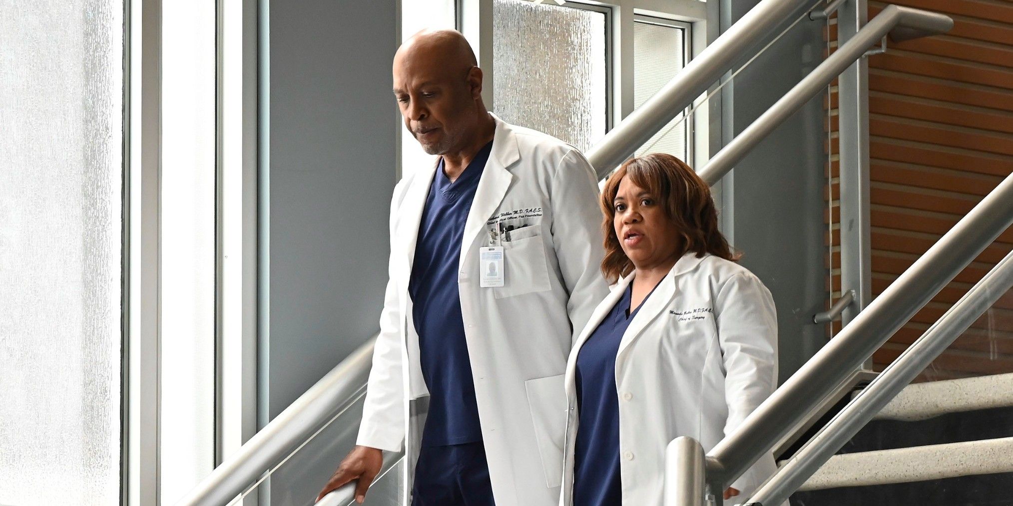 Richard and Bailey on the stairs in Grey&rsquo;s Anatomy