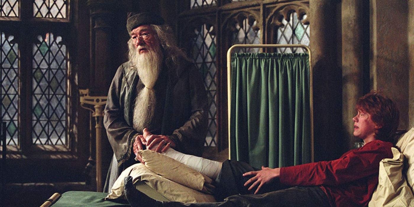 Ron and Dumbledore in the hospital wing