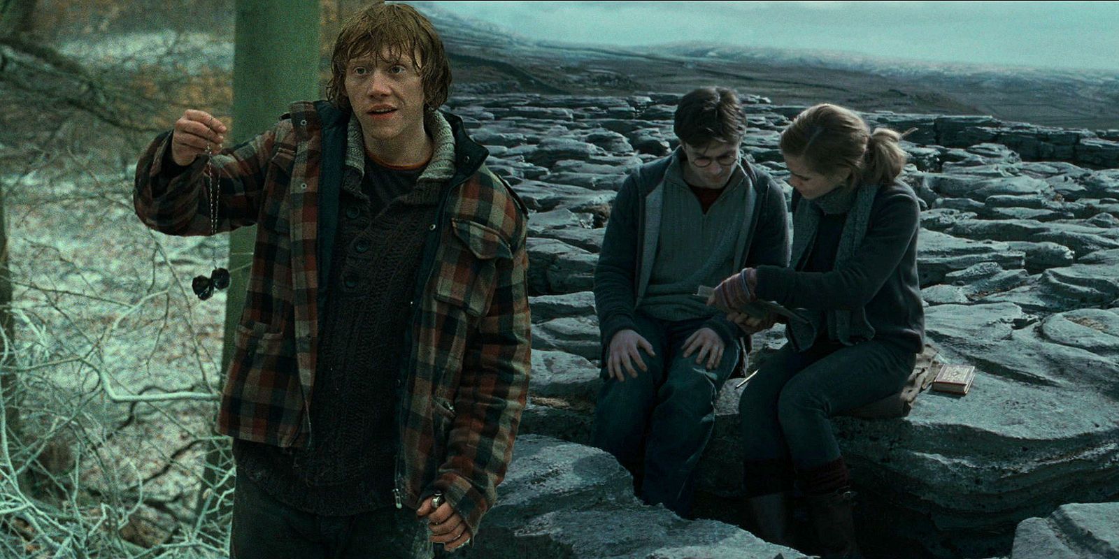 Ron in Harry Potter and the Deathly Hallows Part 1