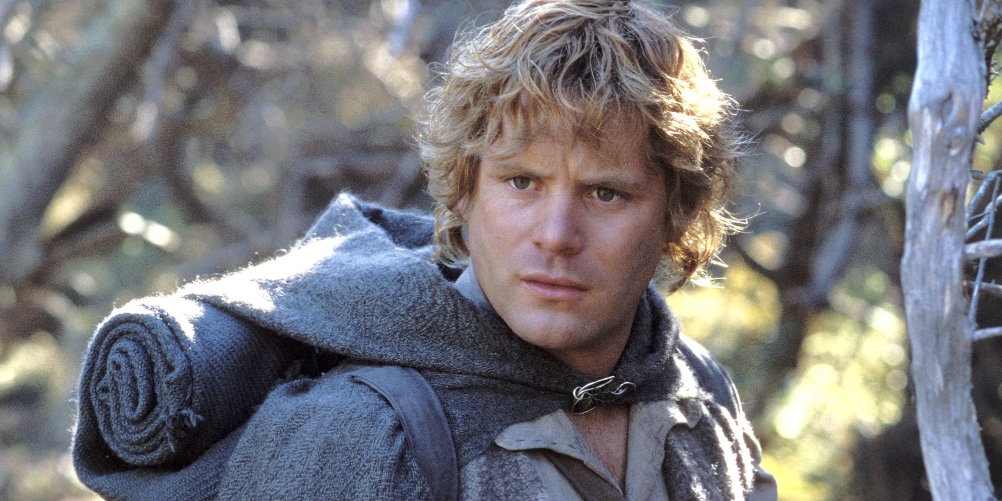 Sean Astin staring as Sam Gamgee Lord of the Rings