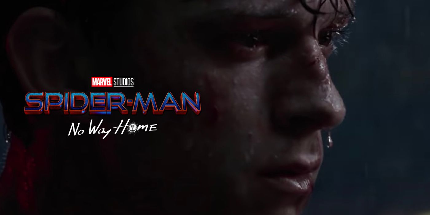 Spider-Man crying in Spider-Man: No Way Home.