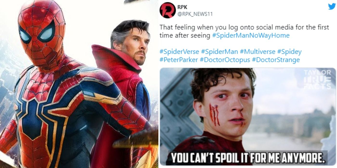 Split image: Doctor Strange and Spider-Man pose/ No Way Home meme