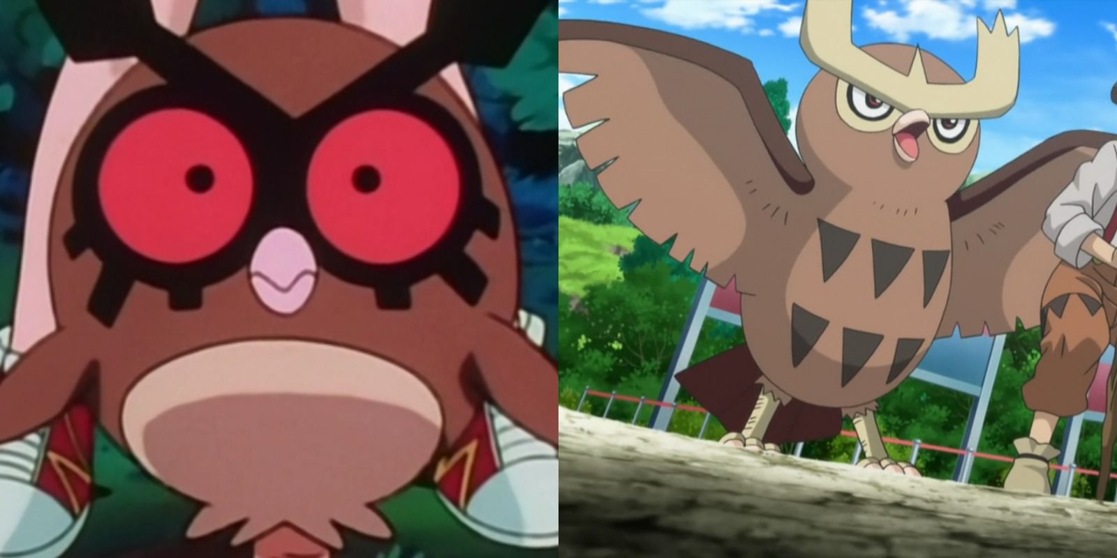 Split image of Hoothoot and Noctowl from Pokemon