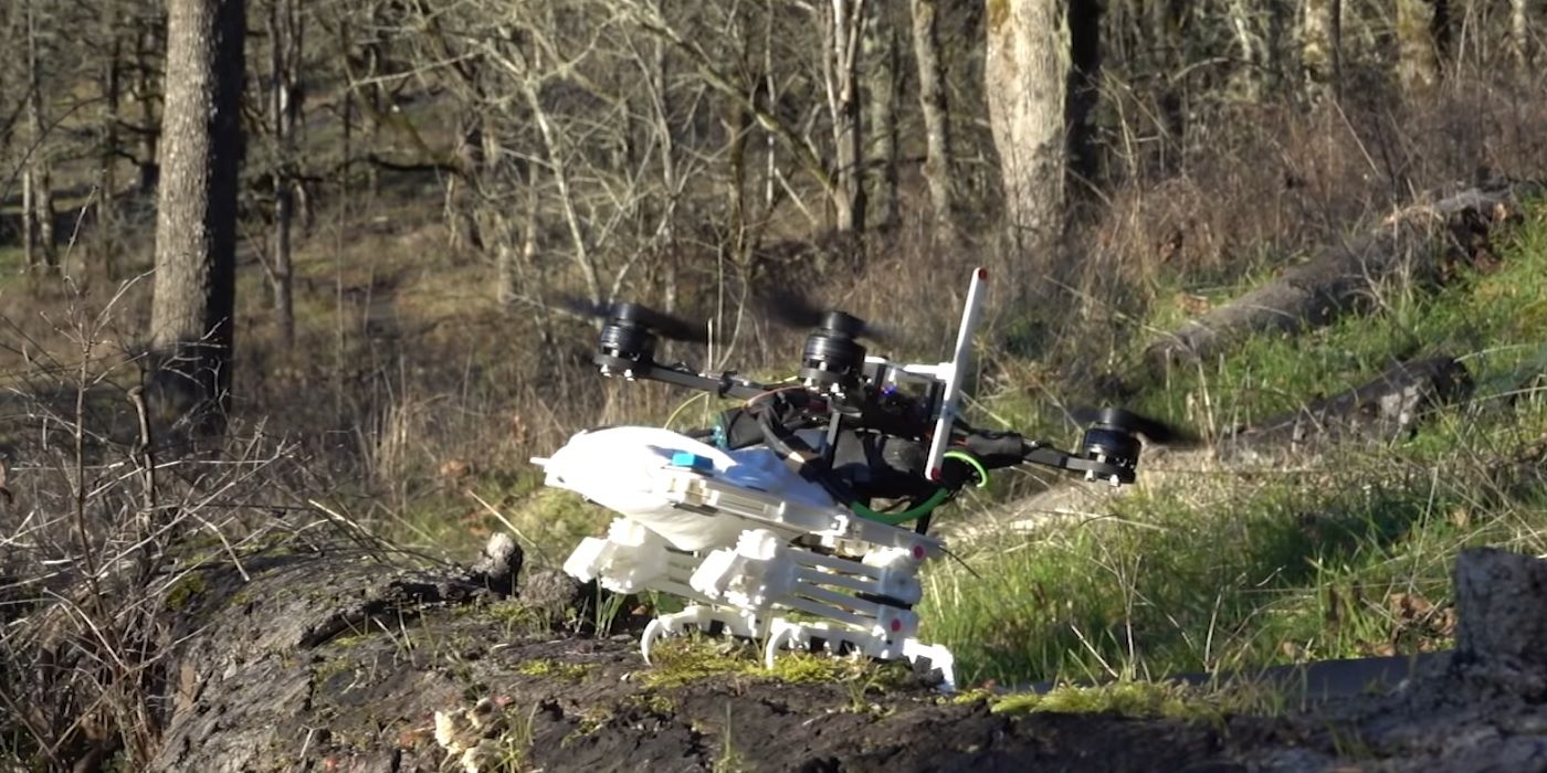 Stanford bird-like robot