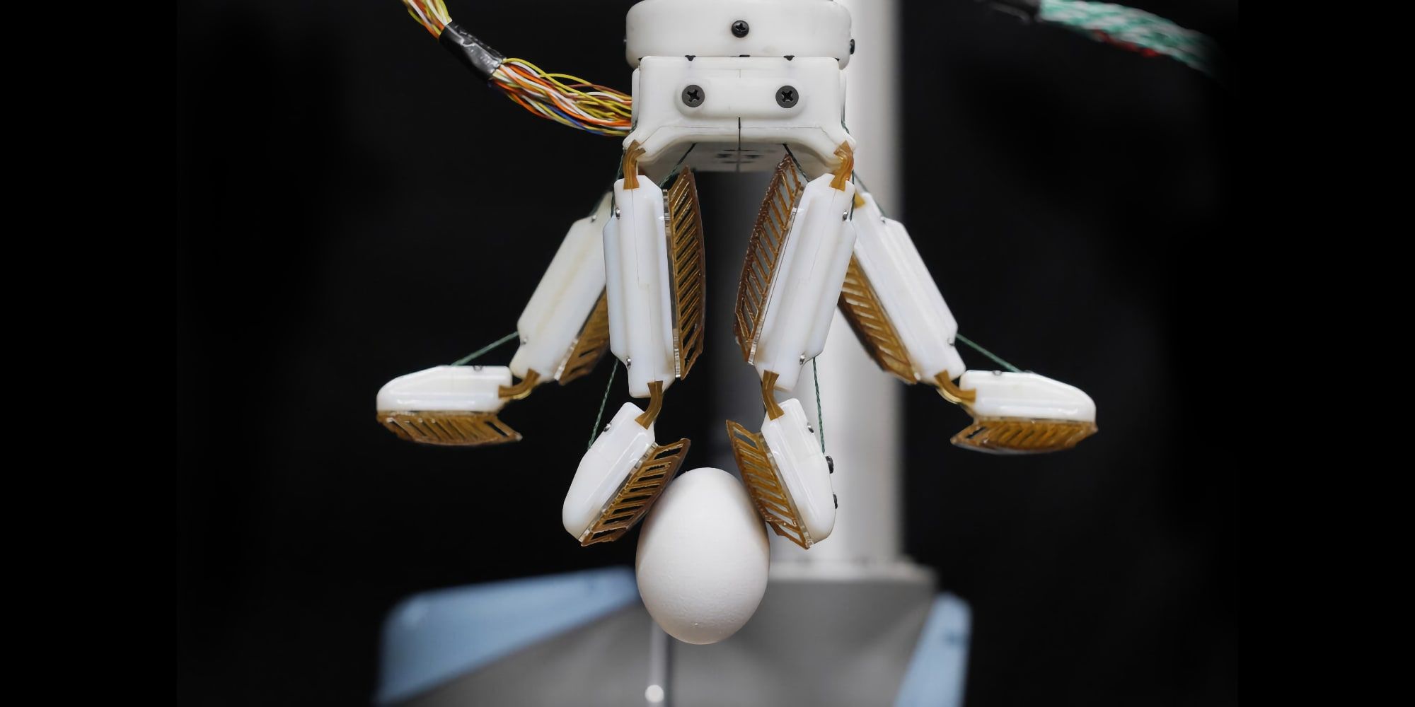 Watch This Gecko-Inspired Robot Hand Grip And Pick Items Up