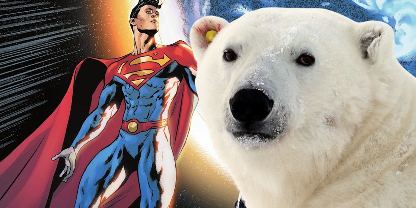 Superman Jonathan Kent and Polar Bear