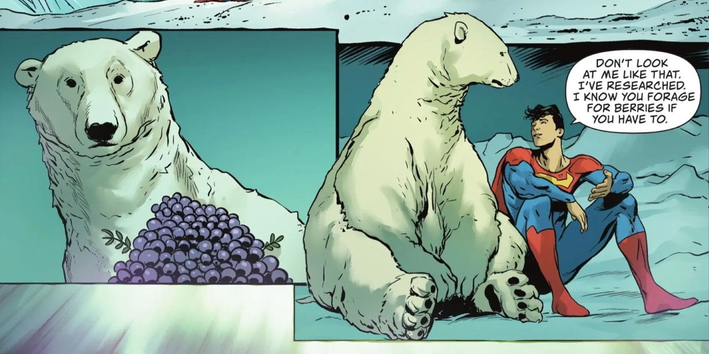 Superman and Gail The Bear