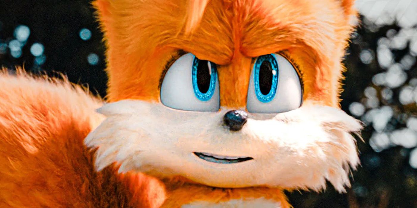 Sonic 2’s Tails Casting Avoids Mario’s Mistake
