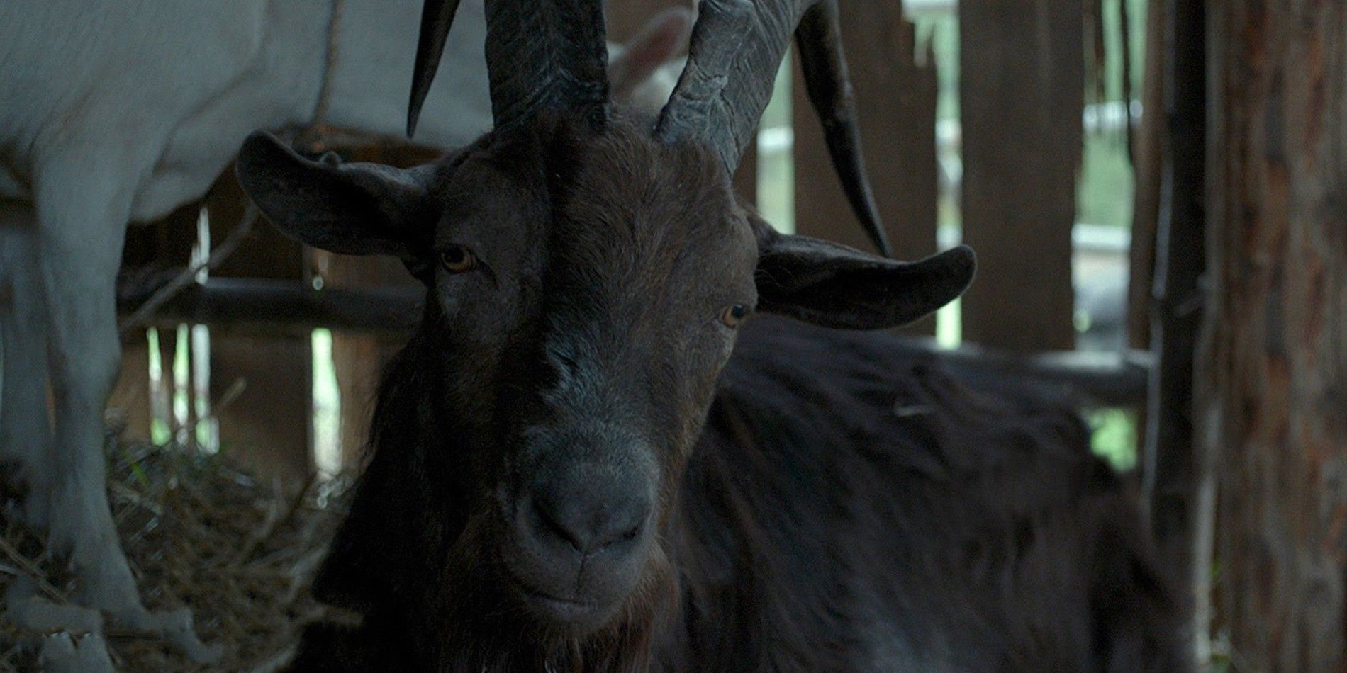 The Witch’s “Wouldst Thou Like To Live Deliciously” Quote Explained