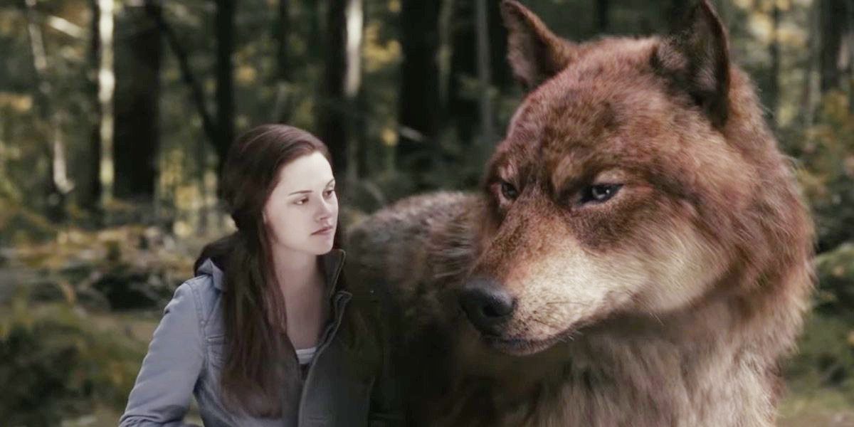 Bells looks at a large wolf in Twilight.