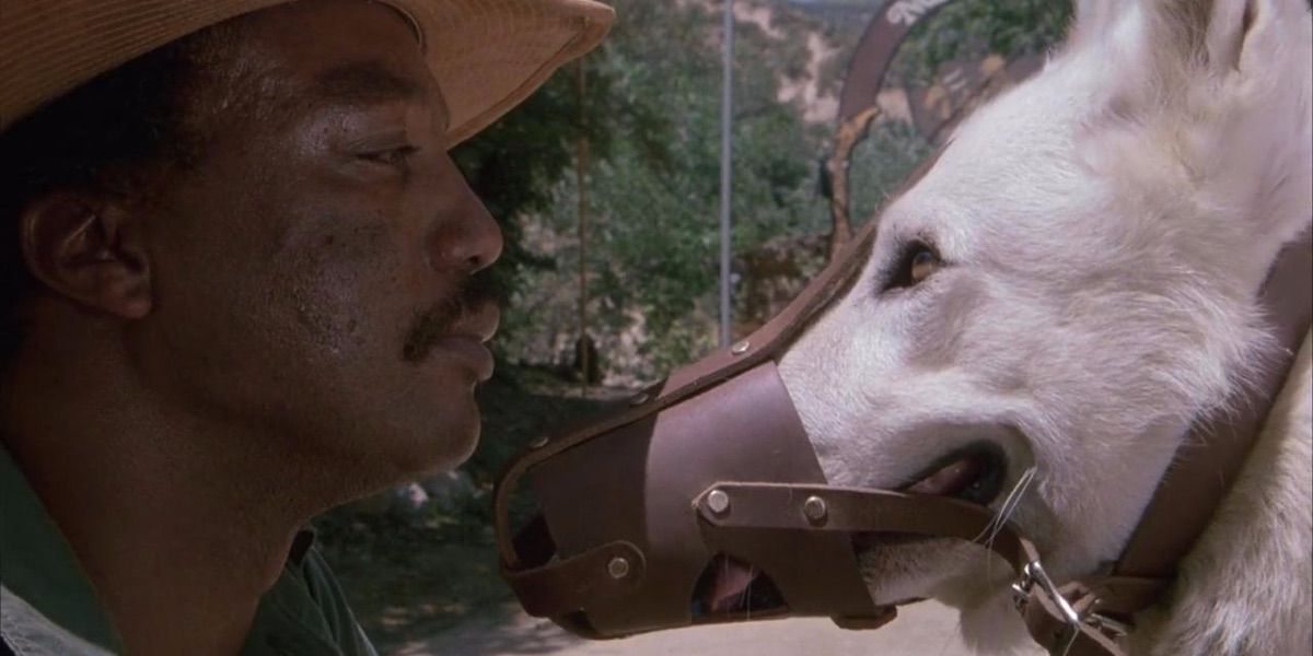 A close-up of Tony Brubaker face-to-face with a caged white dog in Samuel Fuller's film White Dog