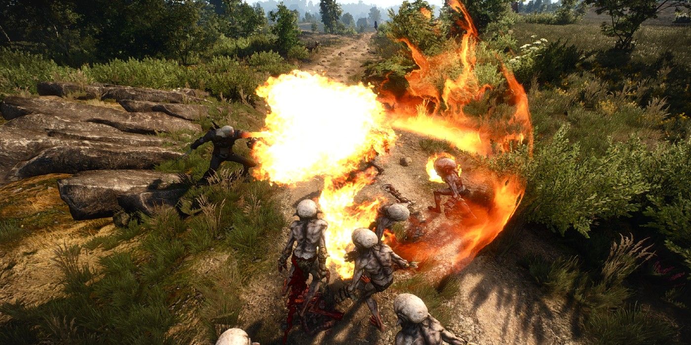 Witcher 3 Mod Spells showing Elemental Sorcery Fire