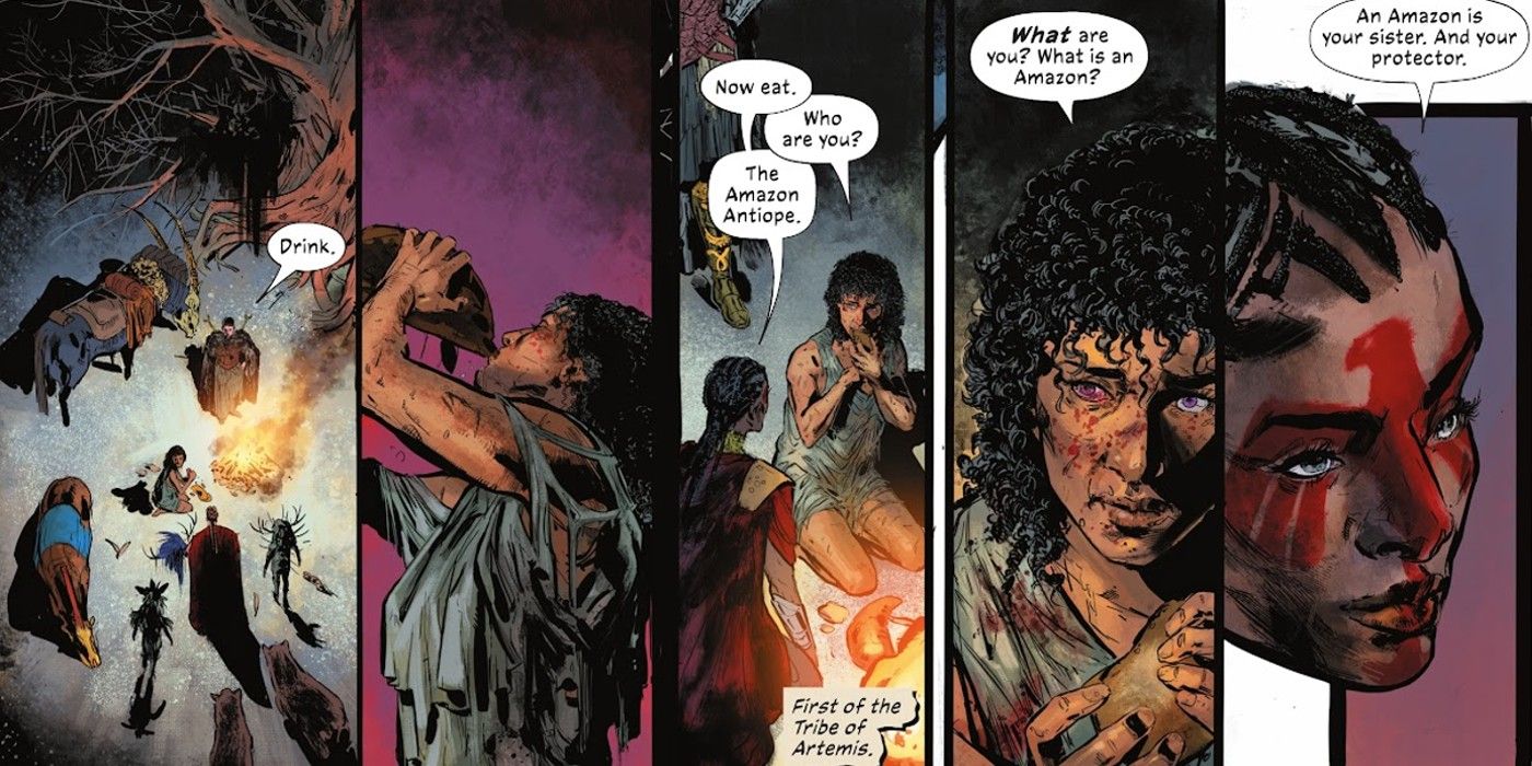 hippolyta amazons