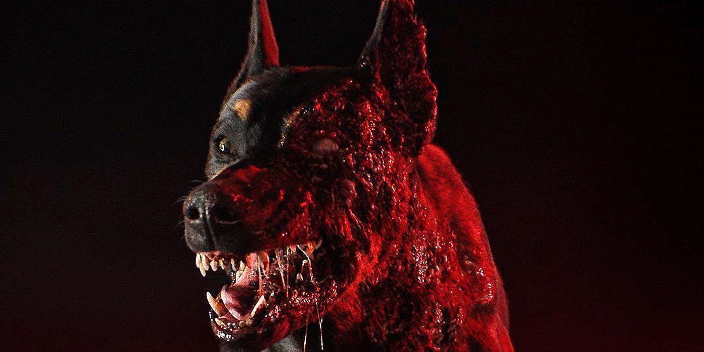 A close-up of a mutated dog in Resident Evil.
