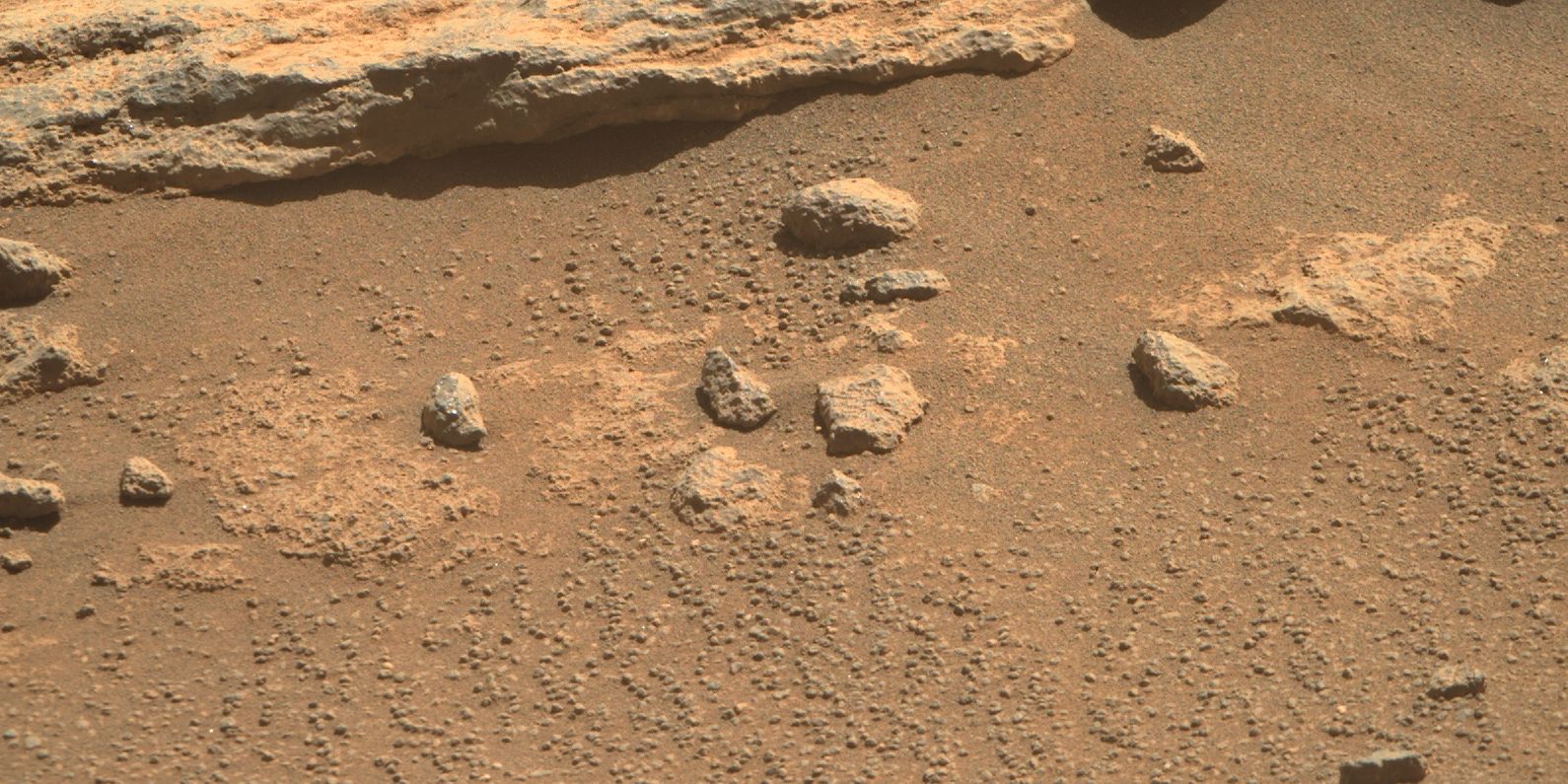 Perseverance Finds Mars Rocks With Totally Different Shapes & Sizes
