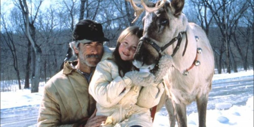 The main characters of Prancer out in the snow