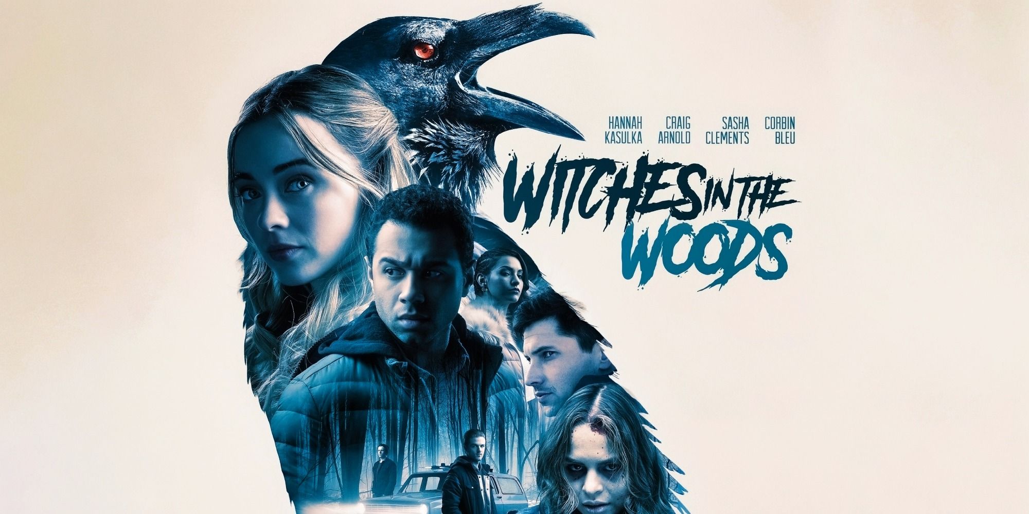 witches in the woods movie poster