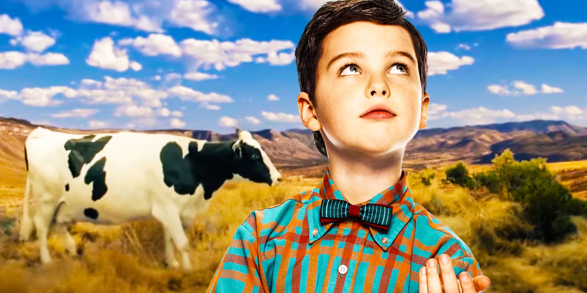 young sheldon why theres a cow in the opening sequence