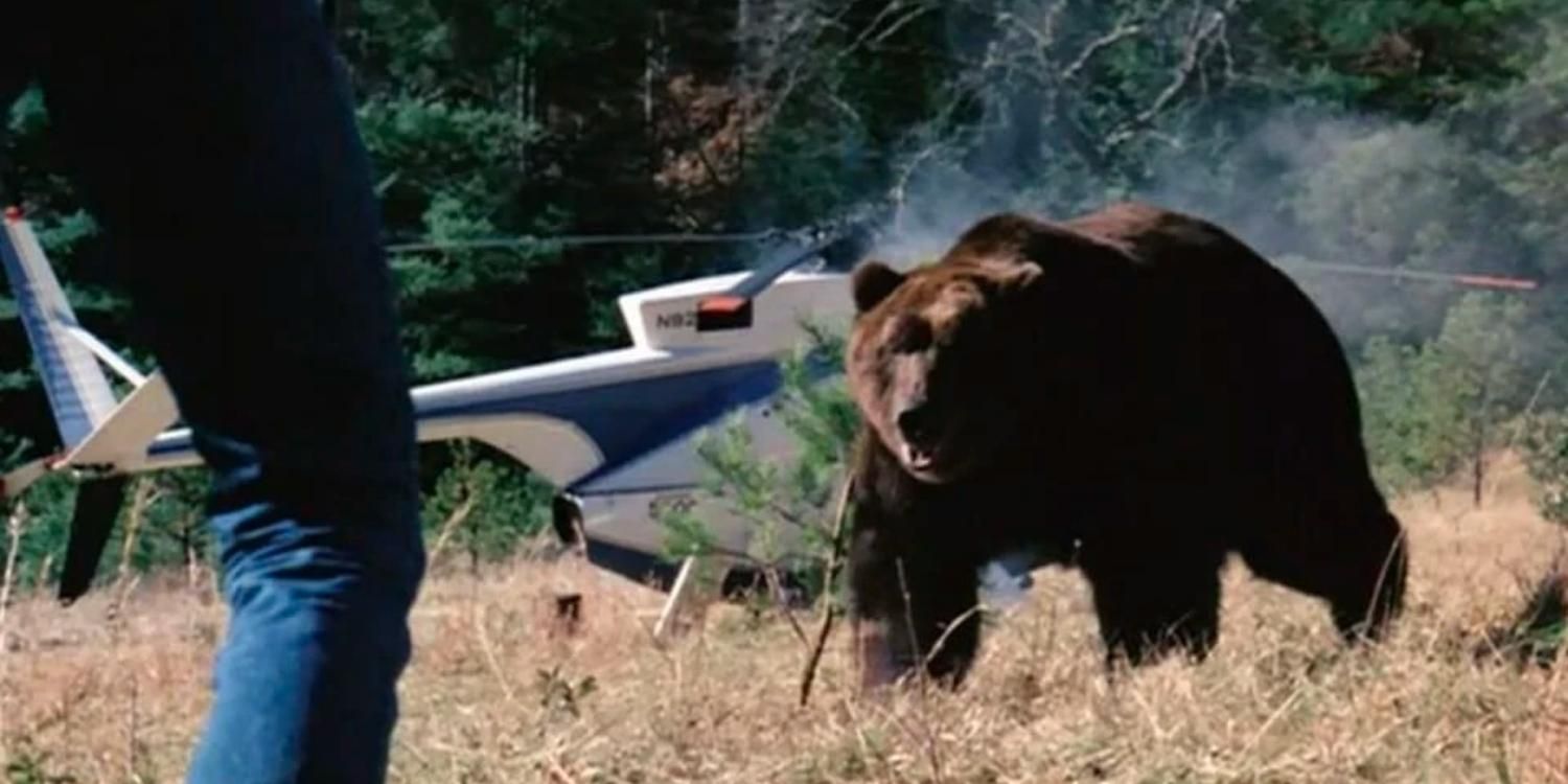 A bear approaches a man with a helicopter in the background in Grizzly