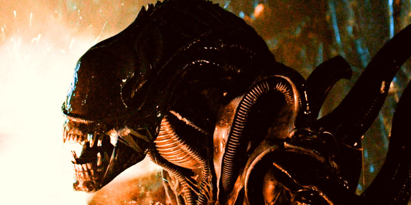 All 6 Alien Films Mixed in Motion-Packed Fan Montage