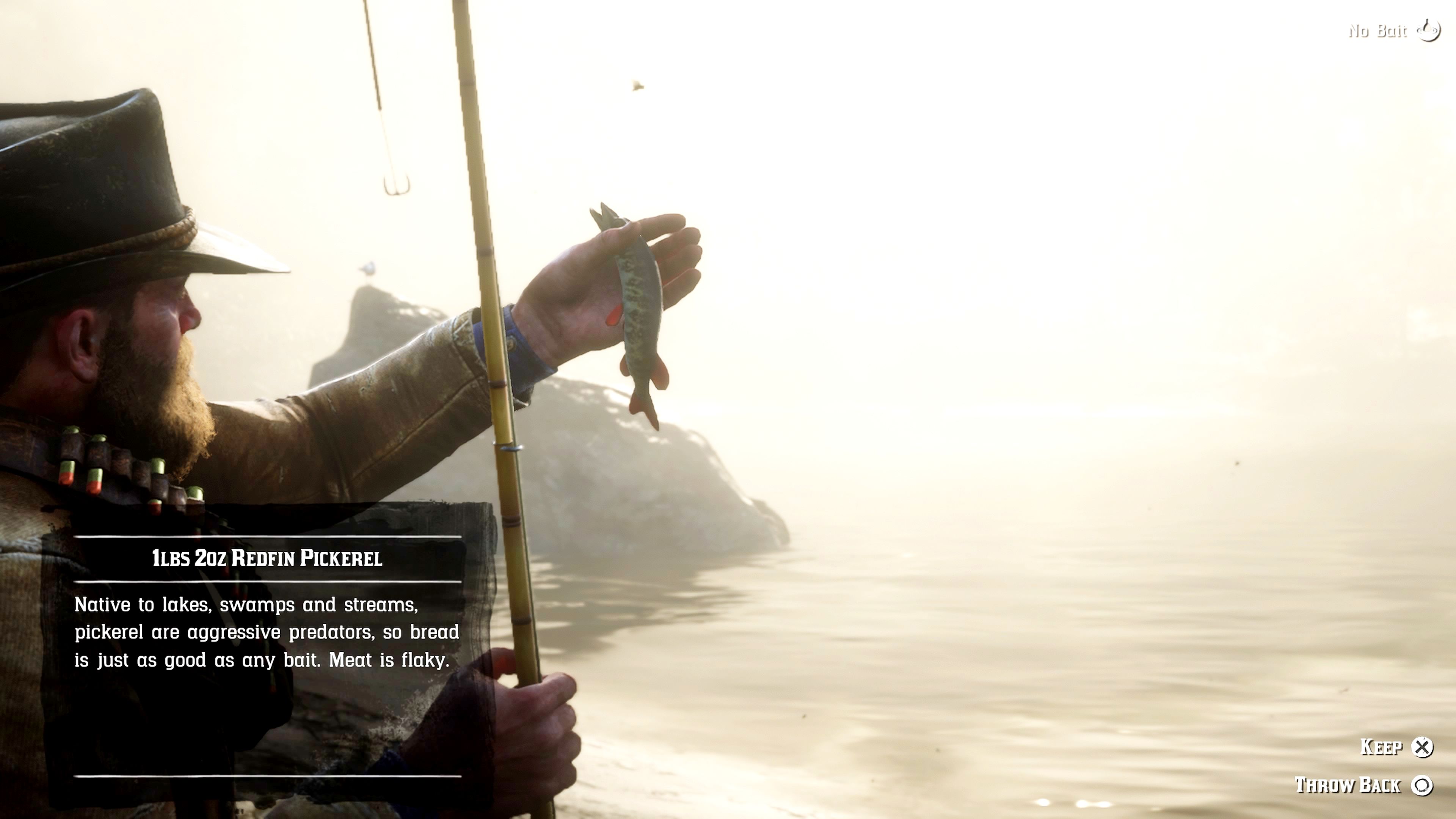 RDR2 Every Type of Meat (& How to Get Them)