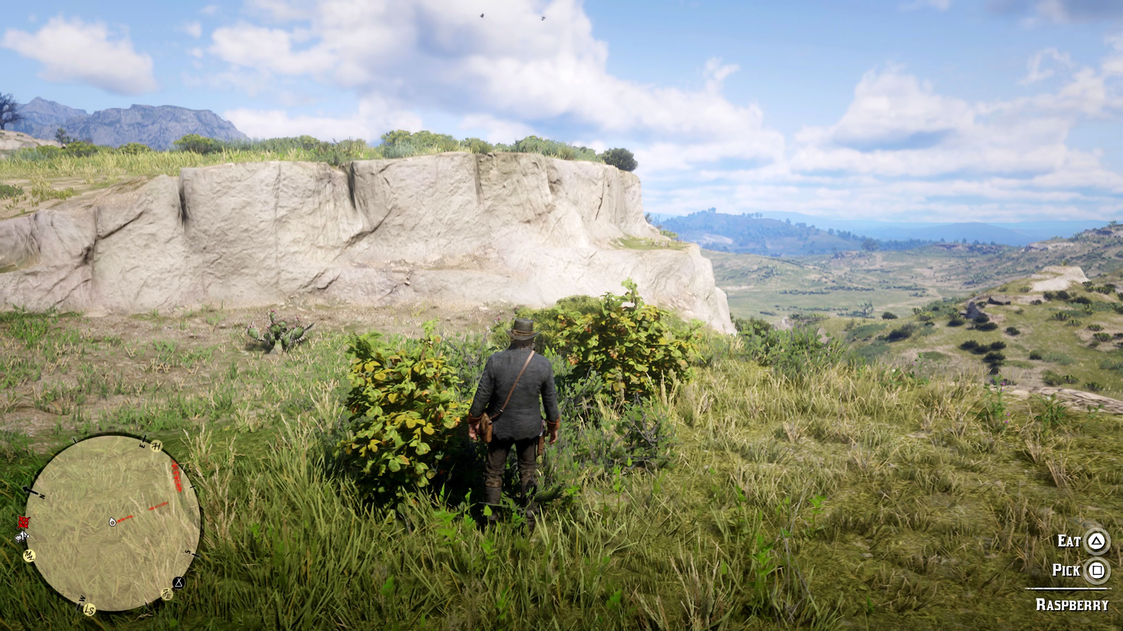 Arthur Picks Berries for the Herbalist Challenge in Red Dead Redemption 2
