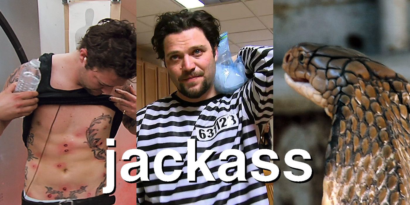 Split image of Bam Margera from Jackass