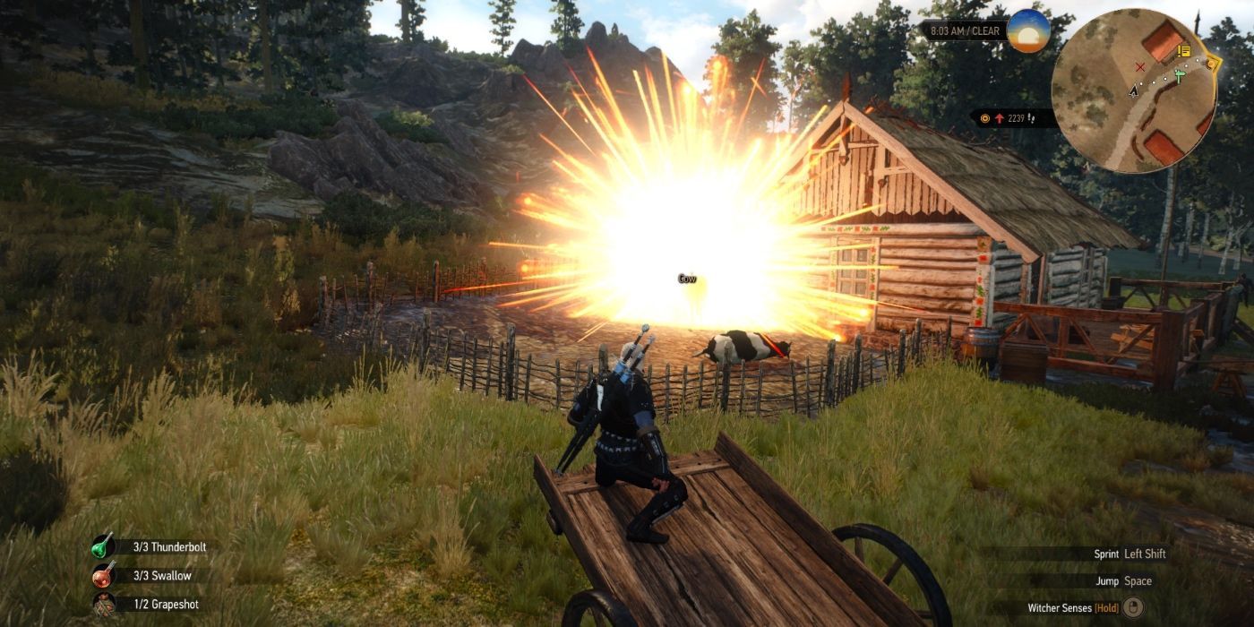 How To Play A Bomb Build In Witcher 3   Bombs Witcher 3 